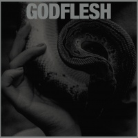 Godflesh - Purge [CD]