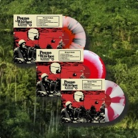 Devil's Witches - Porno Witches & Vietnam Vets [LP]