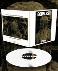 Godflesh - Decay [2026]