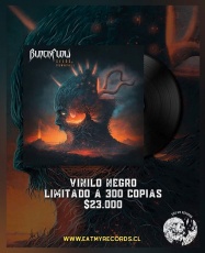 BlackFlow - Seeds Of Downfall [LP]